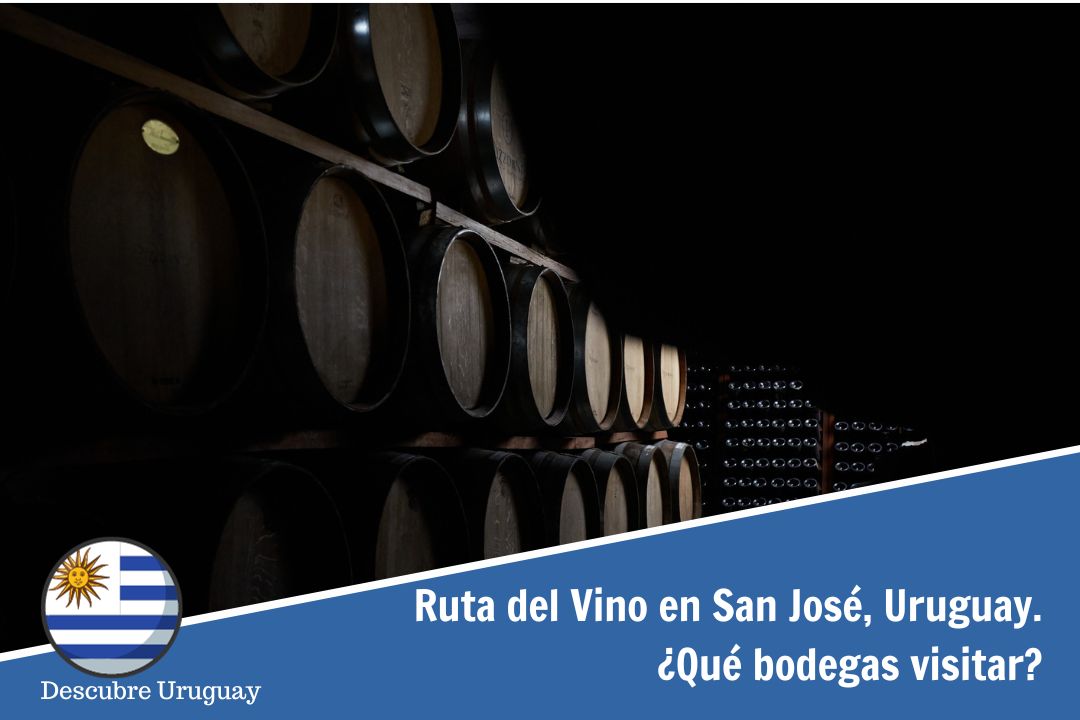 RUTA del VINO en San José - Uruguay - Bodegas a visitar